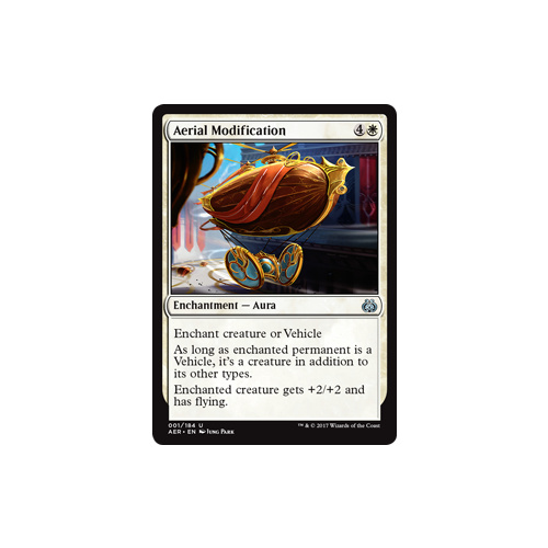 Aerial Modification - AER