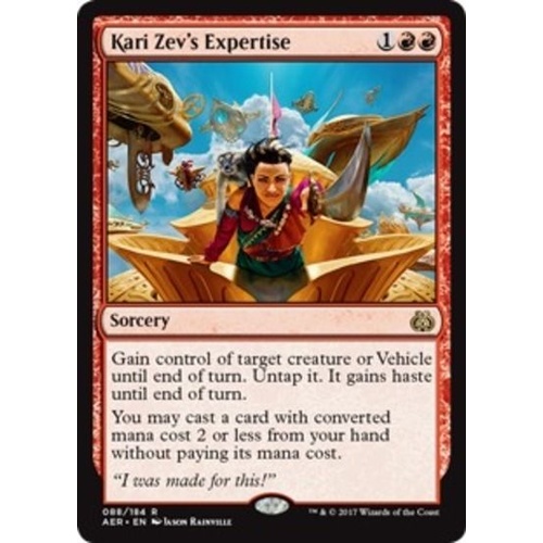 Kari Zev's Expertise - AER