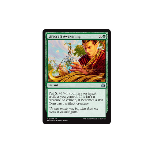 Lifecraft Awakening - AER