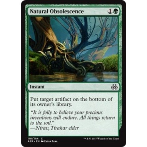 Natural Obsolescence - AER