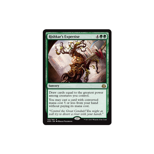 Rishkar's Expertise FOIL - AER