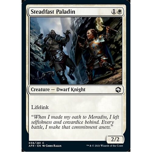 Steadfast Paladin FOIL - AFR