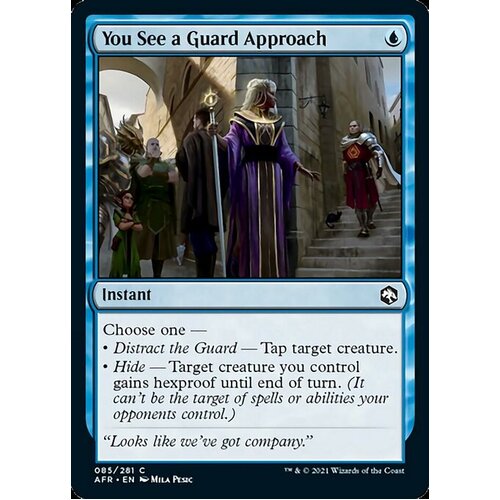 You See A Guard Approach FOIL - AFR