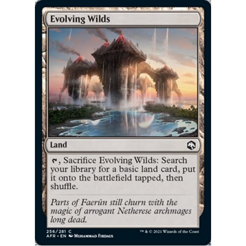 Evolving Wilds FOIL - AFR