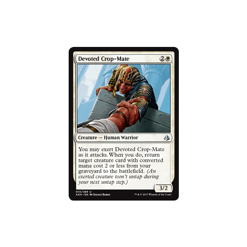 Devoted Crop-Mate - AKH