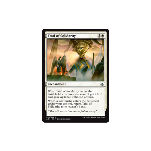 Trial of Solidarity FOIL - AKH