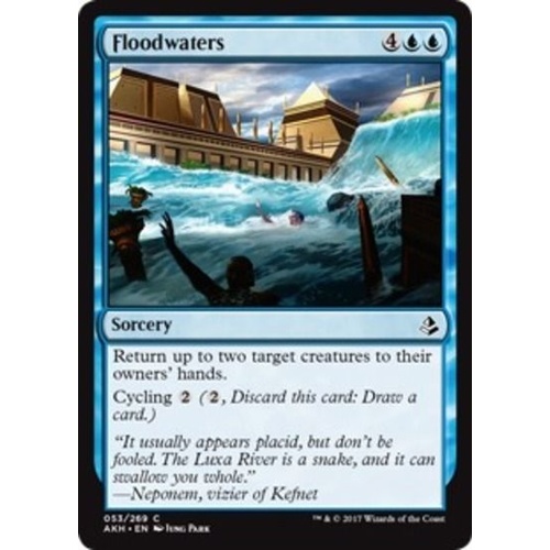 Floodwaters FOIL - AKH