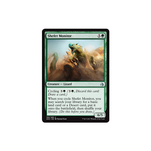 Shefet Monitor FOIL - AKH