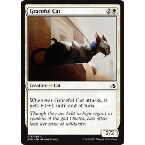 Graceful Cat - AKH