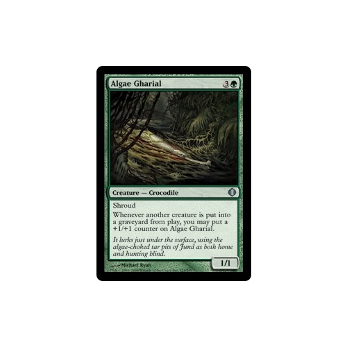 Algae Gharial FOIL - ALA
