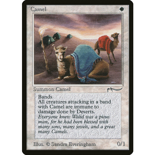 Camel - ARN