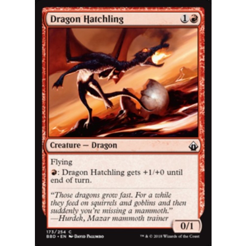 Dragon Hatchling FOIL - BBD