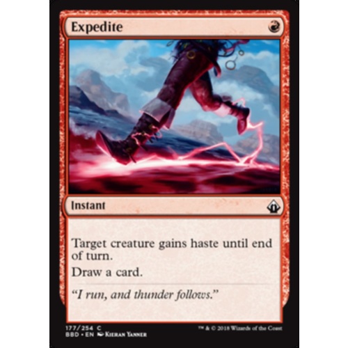 Expedite FOIL - BBD