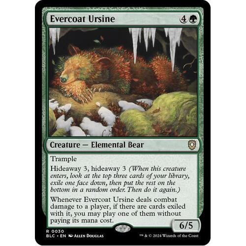 Evercoat Ursine - BLC