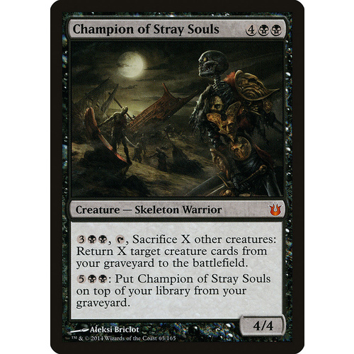 Champion of Stray Souls - BNG