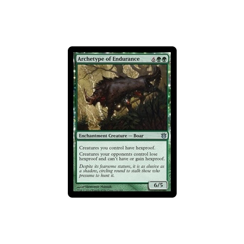 Archetype of Endurance FOIL - BNG