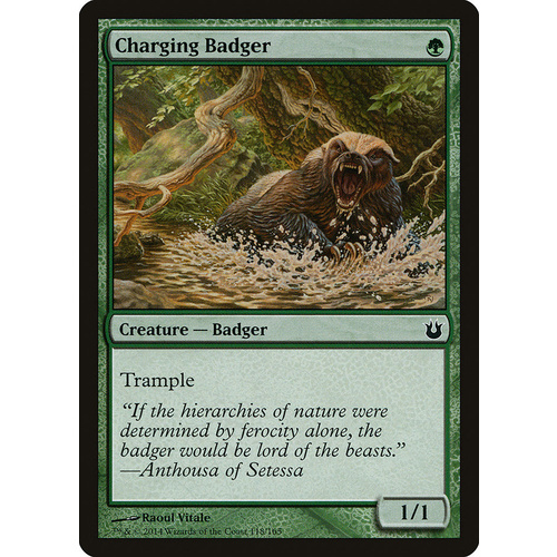 Charging Badger - BNG