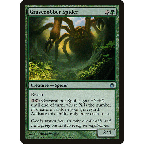 Graverobber Spider - BNG