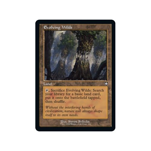 Evolving Wilds - BRC