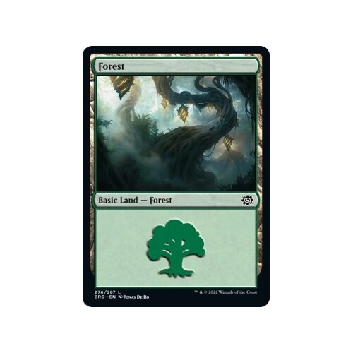 Forest (276) - BRO