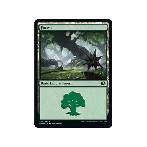 Forest (277) - BRO