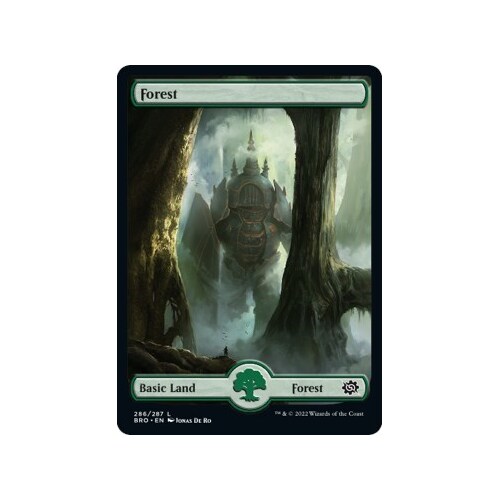 Forest (286) - Full Art FOIL - BRO