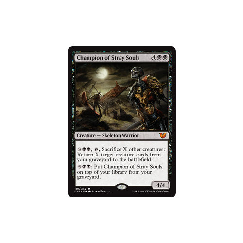 Champion of Stray Souls - C15