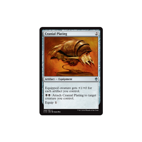 Cranial Plating - C16