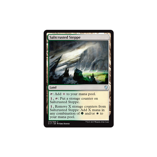 Saltcrusted Steppe - C17