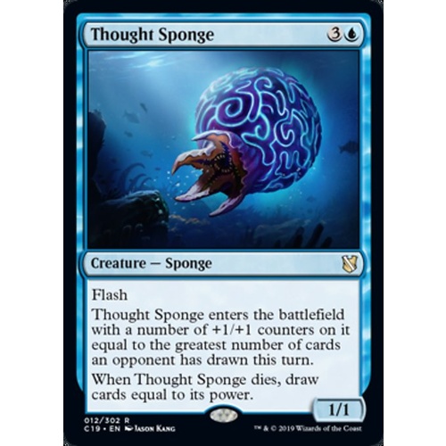 Thought Sponge - C19