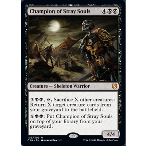 Champion of Stray Souls - C19