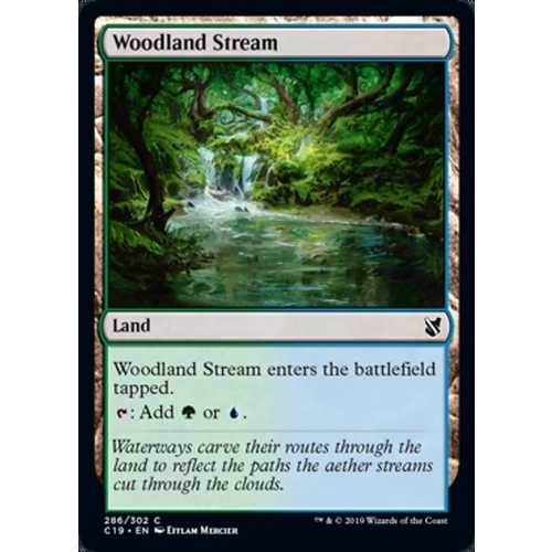 Woodland Stream - C19
