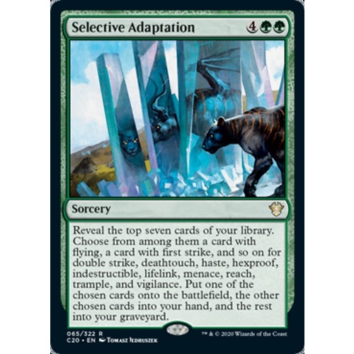 Selective Adaptation - C20