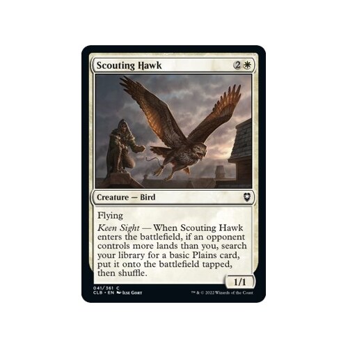 Scouting Hawk