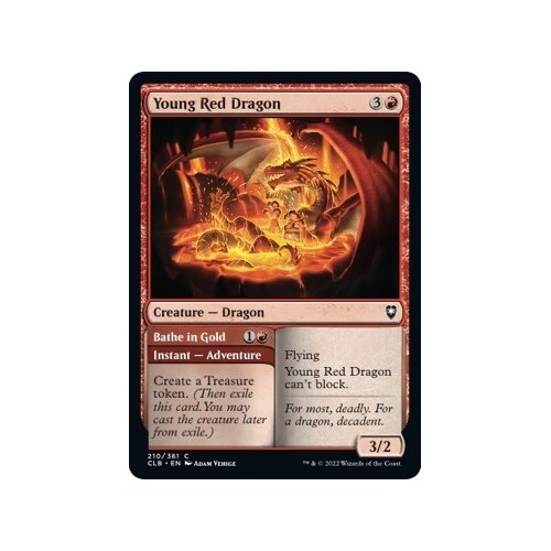 Young Red Dragon