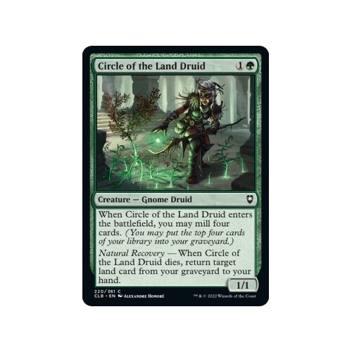 Circle of the Land Druid