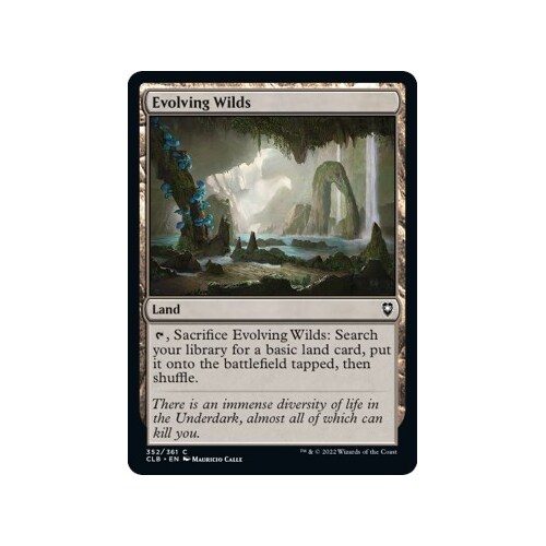 Evolving Wilds