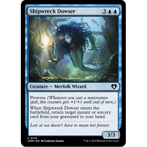 Shipwreck Dowser - CMM