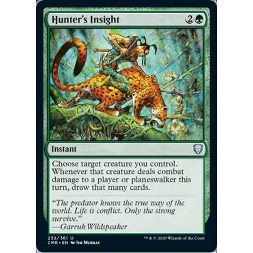 Hunter's Insight - CMR