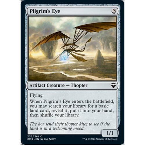 Pilgrim's Eye - CMR