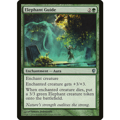 Elephant Guide FOIL - CNS