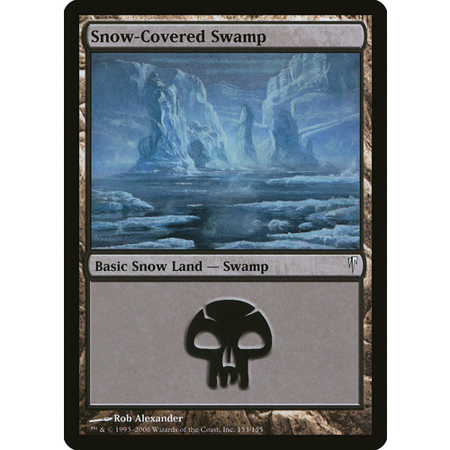 Snow-Covered Swamp - CSP