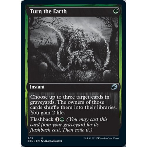 Turn the Earth - DBL