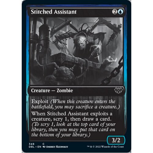 Stitched Assistant - DBL