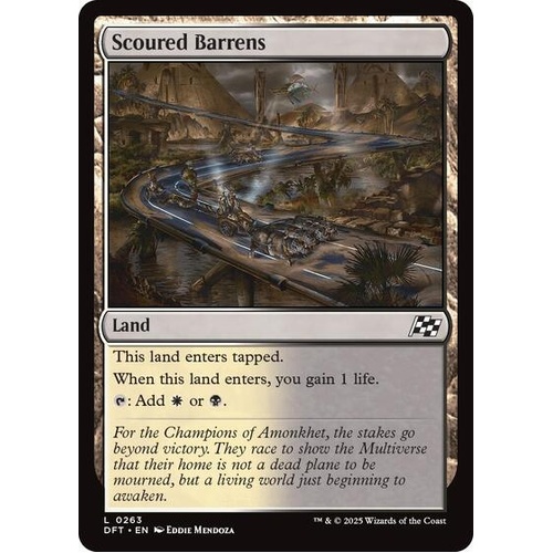 Scoured Barrens - DFT