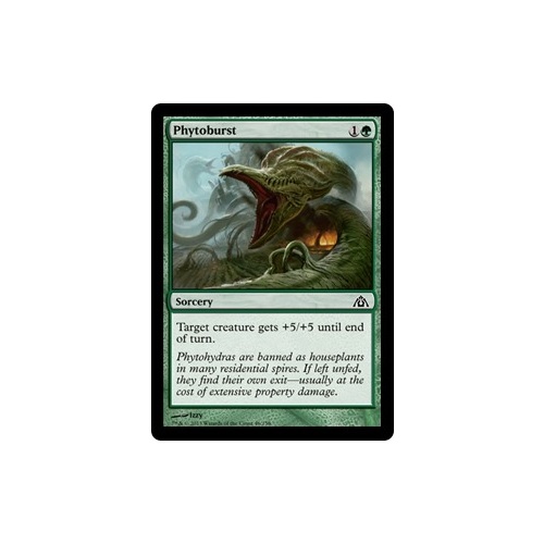 Phytoburst FOIL - DGM