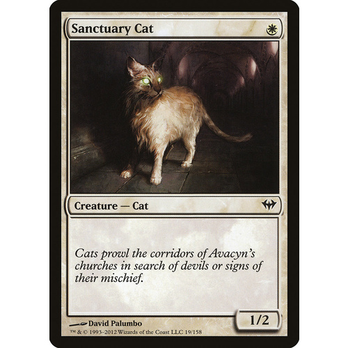 Sanctuary Cat - DKA