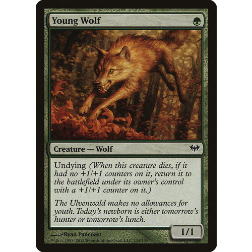 Young Wolf - DKA