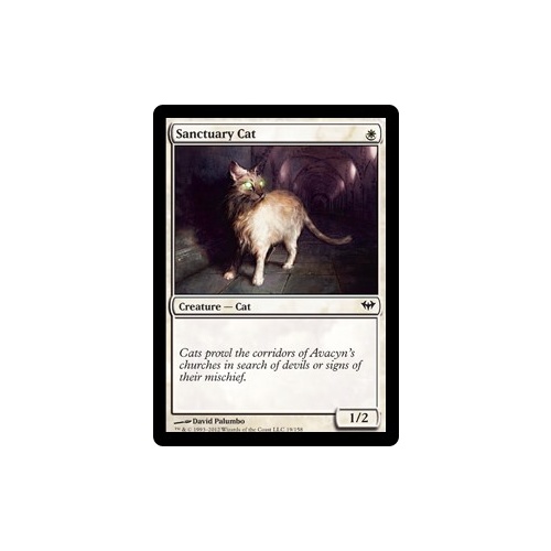 Sanctuary Cat FOIL - DKA