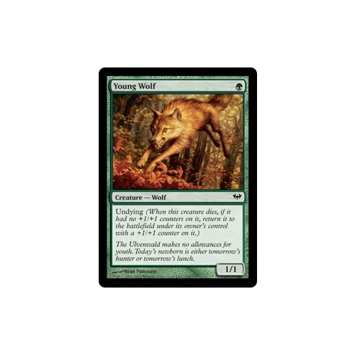 Young Wolf FOIL - DKA